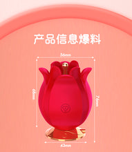 Load image into Gallery viewer, F2029 New Rose Yu Meiren Double-Headed Sucking Vibration Vibrator Female Masturbation Sex Toys Wholesale
