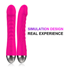 Load image into Gallery viewer, F2048 Cross-Border Amazon Silicone Simulation Dildos G Point Vibrator Adult Sex Massage Products Women&#39;s Masturbation Device
